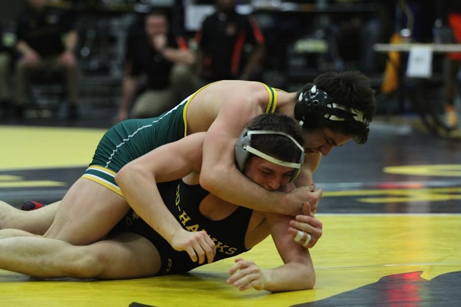 Wrestlers complete season at state