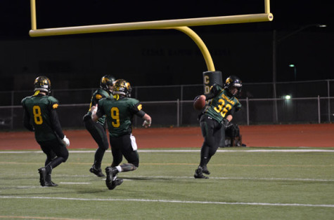 Photos: Playoffs Round 3: The Cougars Head For The Dome