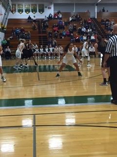 Linden Runels, sr., guards Amanda Ollinger. The Cougars beat the Lions 60-47.