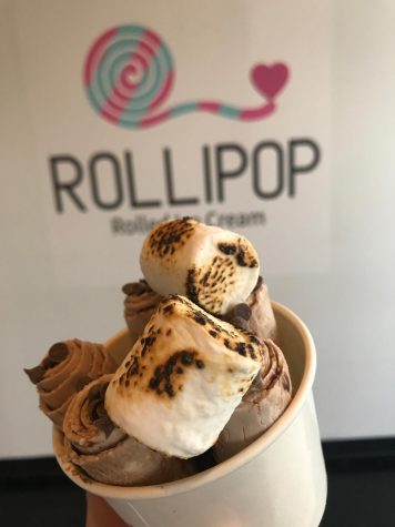 S'mores Galore ice cream with chocolate chips and toasted marshmallows on top.
