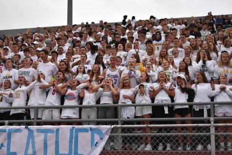 Surviving the Unfamiliar Cougar Den