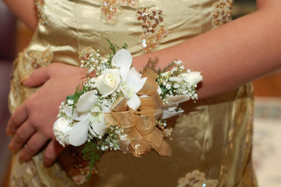 A beautiful gold dress paired with a matching corsage, yet another stressor adding to the pressure of homecoming.