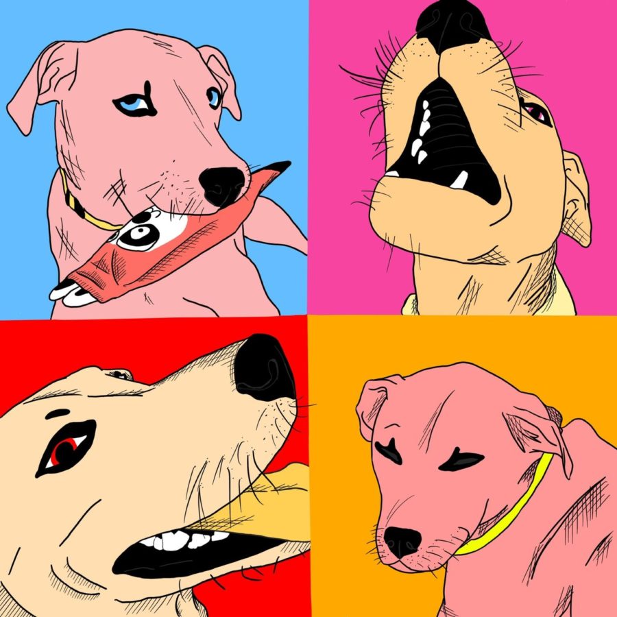 Dog Expressions; Andy Warhol Inspired