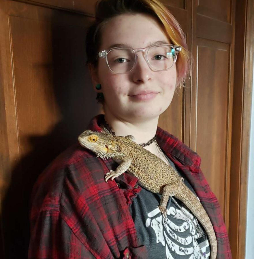 Sanford enjoys caring for bearded dragons and other types of reptiles.