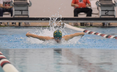 Cougar Swimmers Compete at Regionals