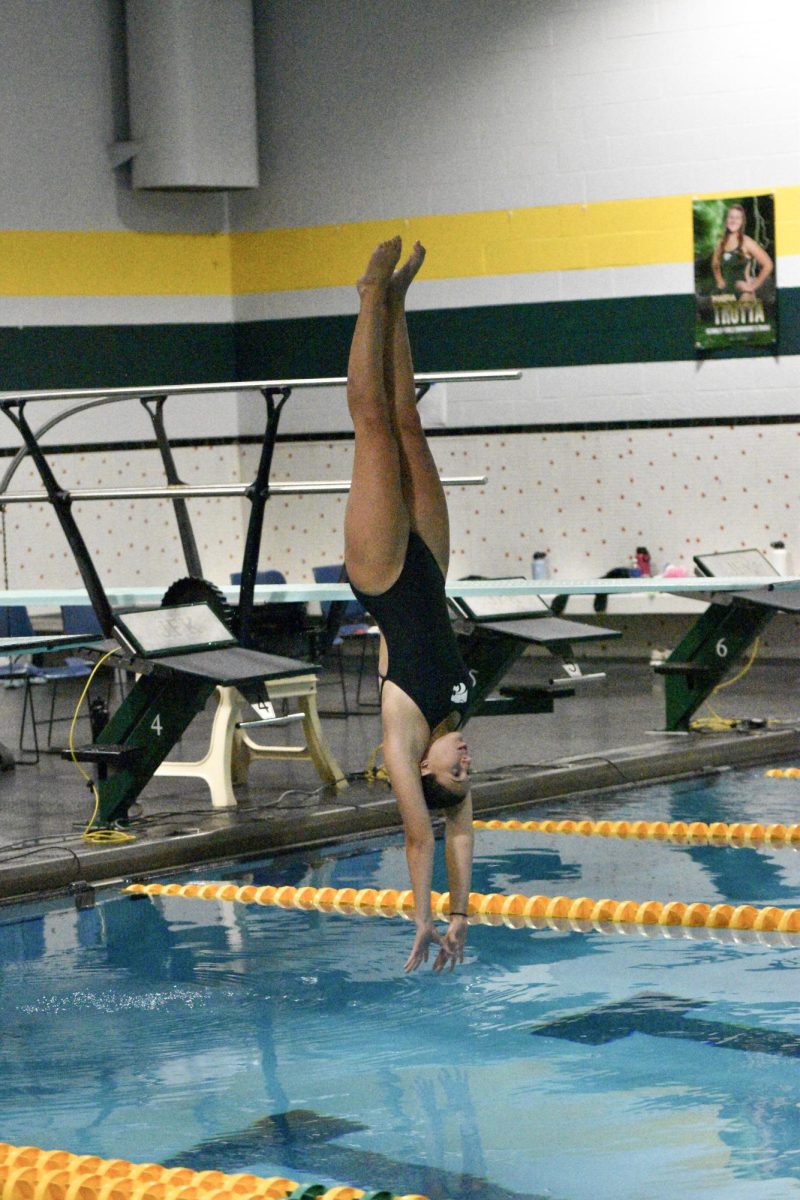 Kennedy senior diver enters the water on her first dive.