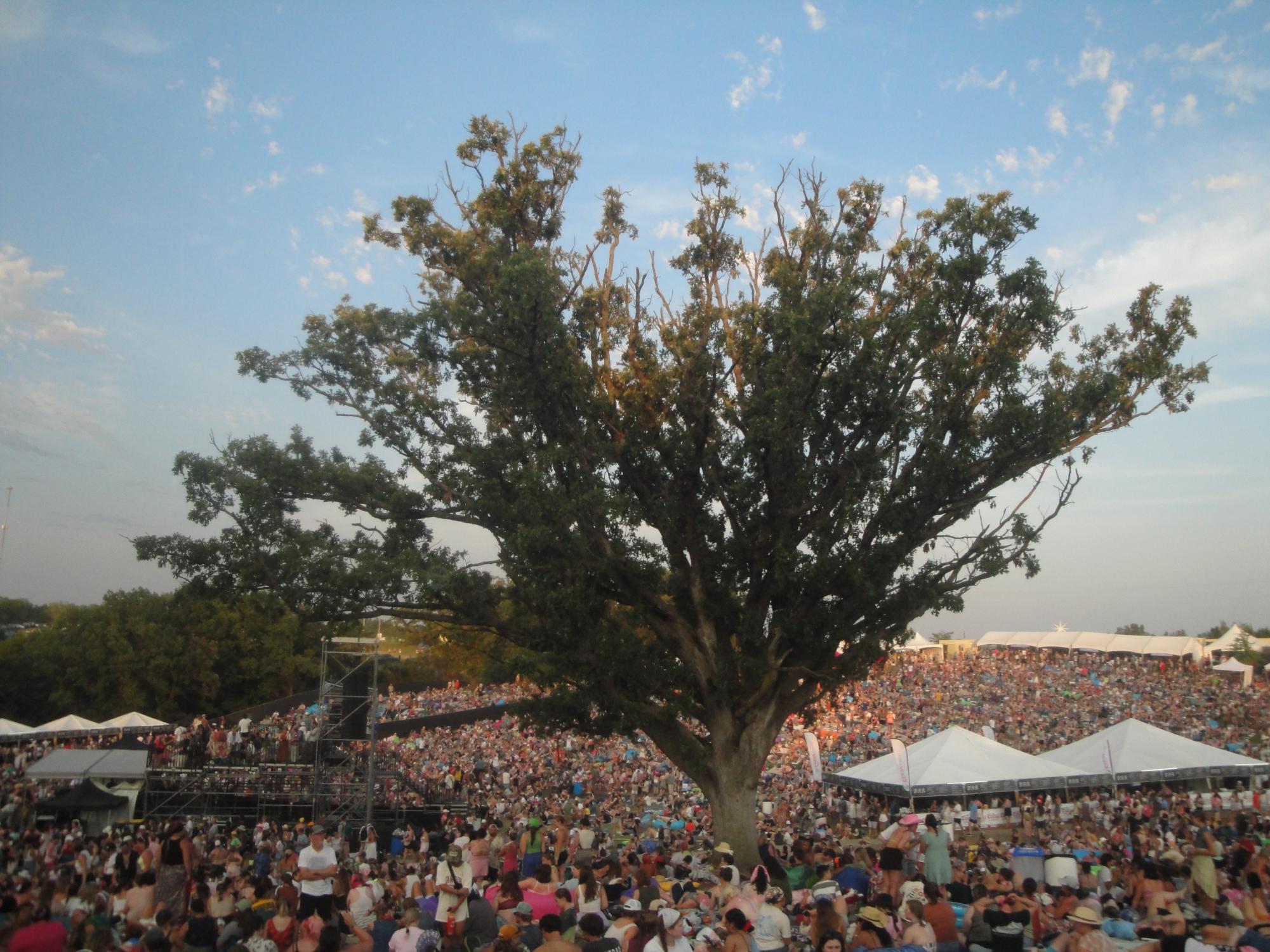 Festival-goers are packed shoulder-to-shoulder on day three of the Hinterland Music Festival.