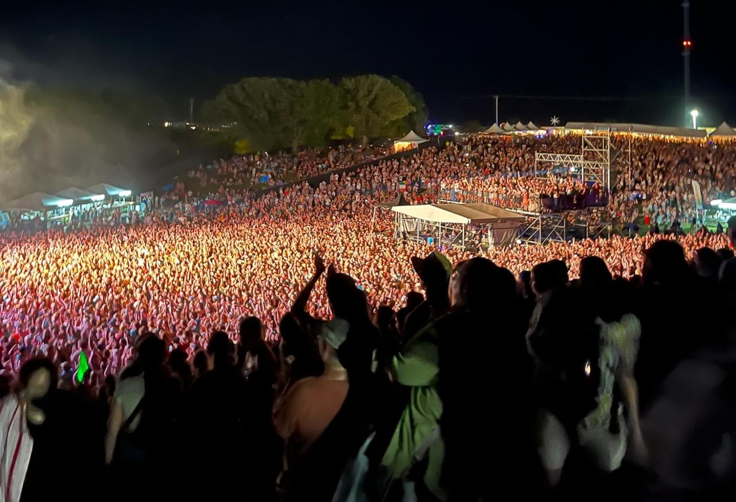 Crowing in the Hinterland pit as Irish singer Hozier performs threatens patron safety.