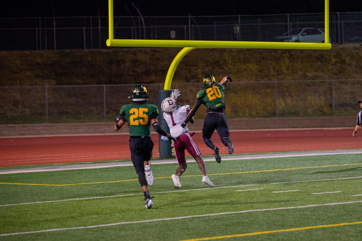 In attempt to break up the play, Senior Jace Popenhagen swats the ball away from Dowling receiver.  