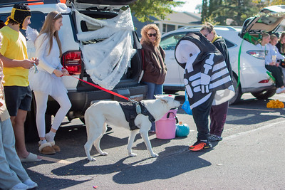 A child dressed as a player from the video game Fall Guys, walks toward a student's dog. 